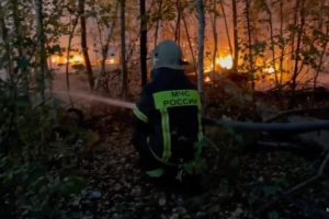Частные дома загорелись в воронежском селе Ямное из-за природного пожара