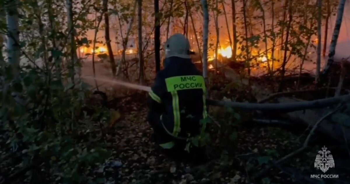 Частные дома загорелись в воронежском селе Ямное из-за природного пожара