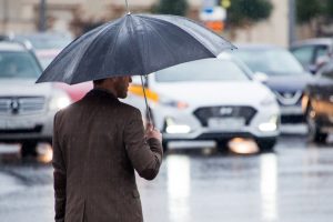 до 20-х чисел сентября в Москве не будет дождей