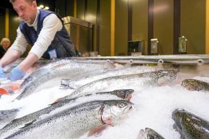 Фермеры московских ярмарок и рыбного рынка поддерживают участников СВО