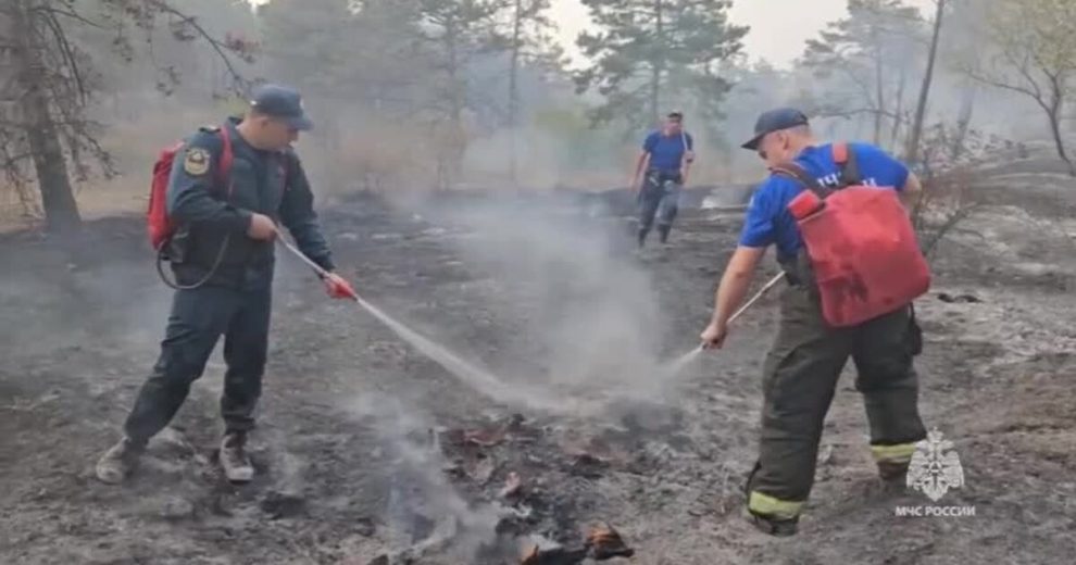 Ландшафтный пожар в Крыму локализован на площади 23 га