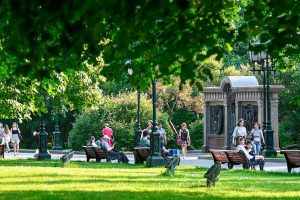 Летняя погода сохранится в Москве на следующей неделе