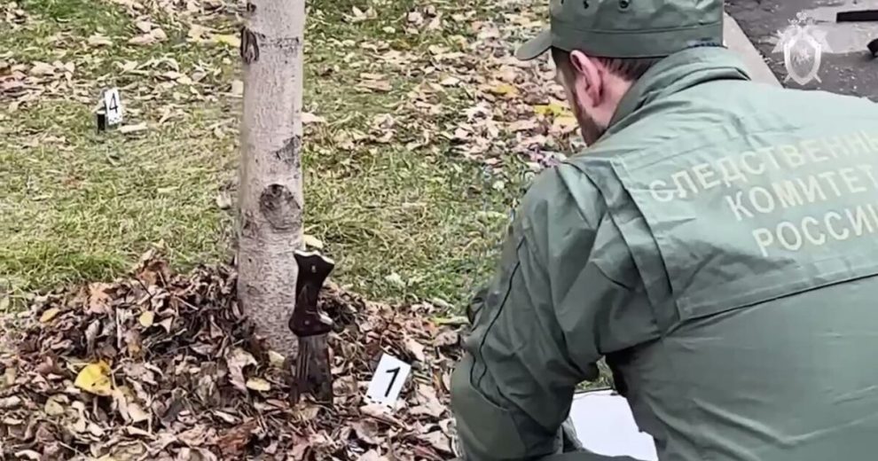 Мужчина, напавший с ножом на подростка и женщину в Люберцах, признан невменяемым