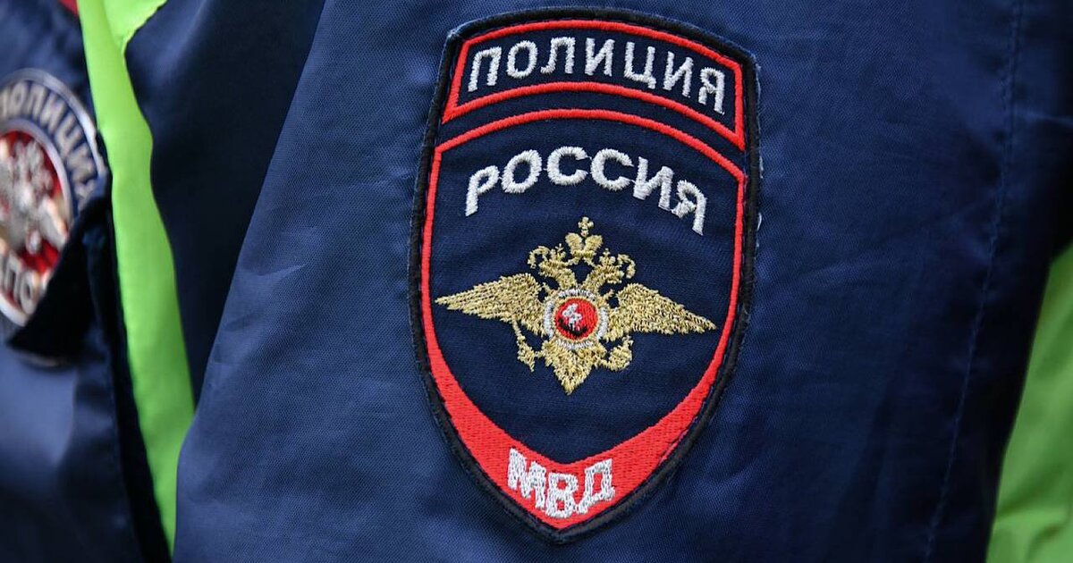 Мужчина выбросил трех собак с восьмого этажа в ТиНАО Мужчина выбросил трех собак с восьмого этажа в ТиНАО