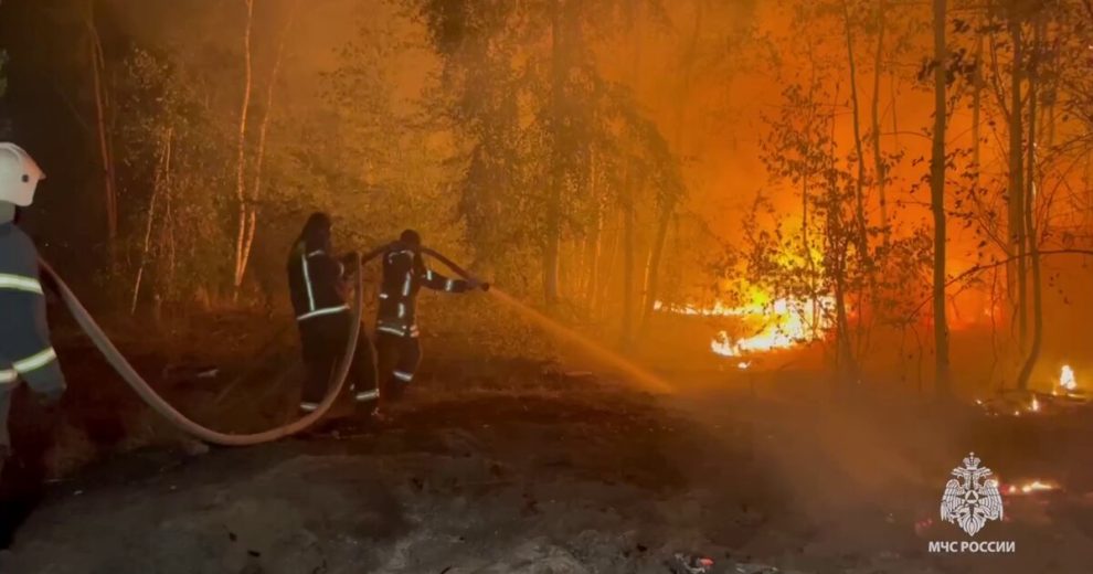 Пожар в районе воронежского села Ямное локализован на 50 га