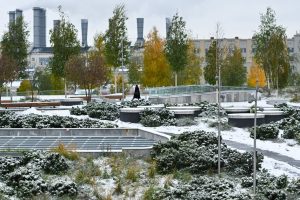 снежный покров может появиться в Москве в конце октября