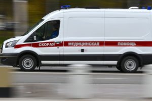 Уголовное дело возбуждено после нападения собаки на 4-летнюю девочку в Солнечногорске