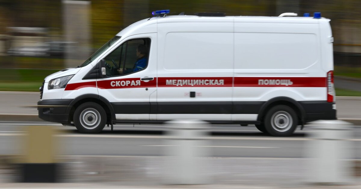 Уголовное дело возбуждено после нападения собаки на 4-летнюю девочку в Солнечногорске
