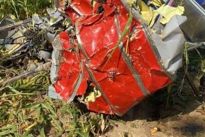 В Сети появились кадры с места крушения самолета “Алекс-251” в Подмосковье